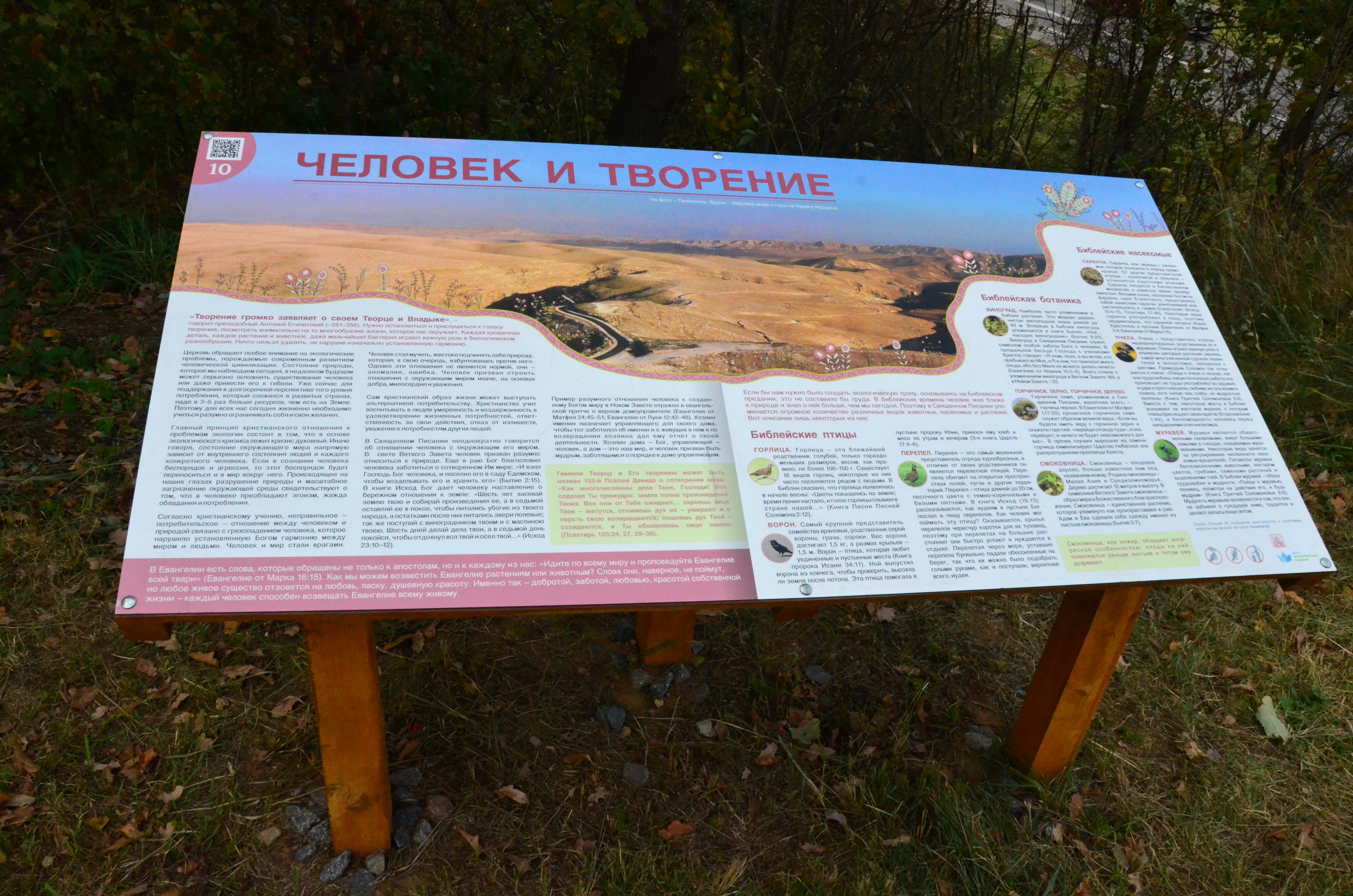 DSC_6179.JPG